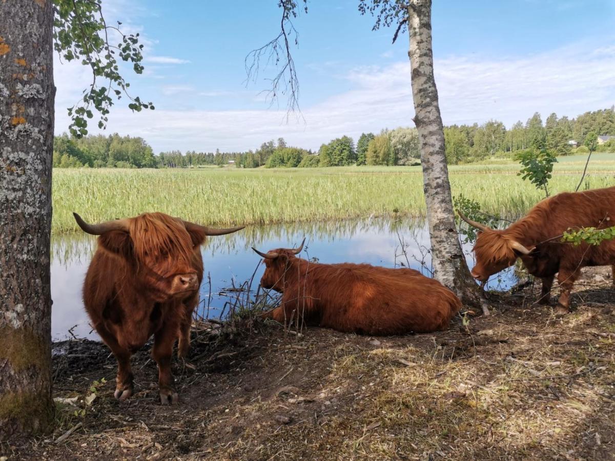 Isotalo Farm At Enaejaervi Lake Сало Екстериор снимка